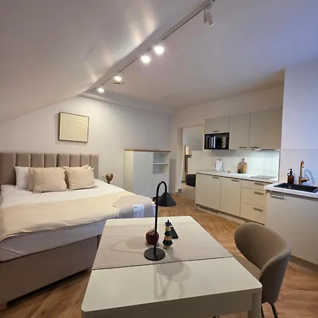 Nowotarska 25 Lägenhetshotell Zakopane